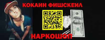 крисы Камышлов