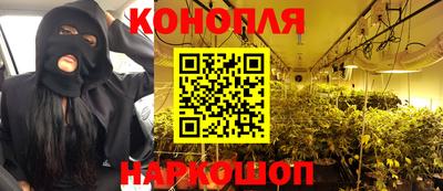 крисы Камышлов