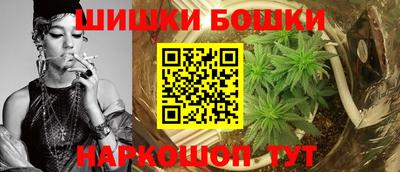 крисы Камышлов