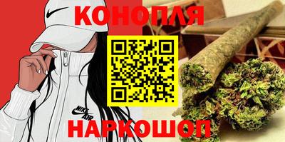 крисы Камышлов